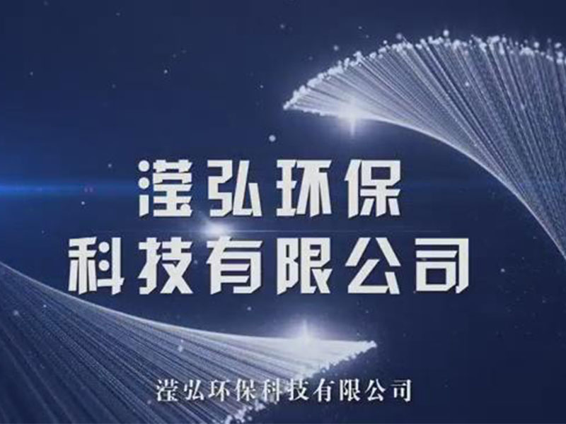 Z型提升機(jī)生產(chǎn)廠(chǎng)家